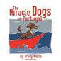 The Miracle Dogs of Portugal - Paperback