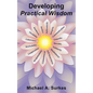 Developing Practical Wisdom - Paperback