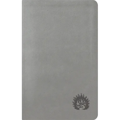 La Biblia de Estudio de la Reforma, Edición Condensada, Light Gray - Imitation Leather