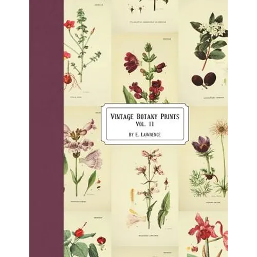 Vintage Botany Prints: Vol. 11 - Paperback