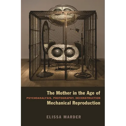 The Mother in the Age of Mechanical Reproduction: Psychoanalysis, Photography, Deconstruction - Paperback