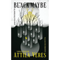 The Black Maybe: Liminal Tales - Paperback