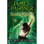 The Void of Mist and Thunder - Paperback