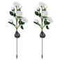 2-Pack: Solar Powered Rose Flower LED Decorative Lamp