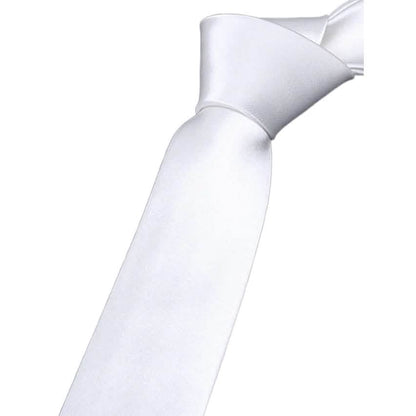 2-Pack: Solid Colored Pure Color Neck Ties