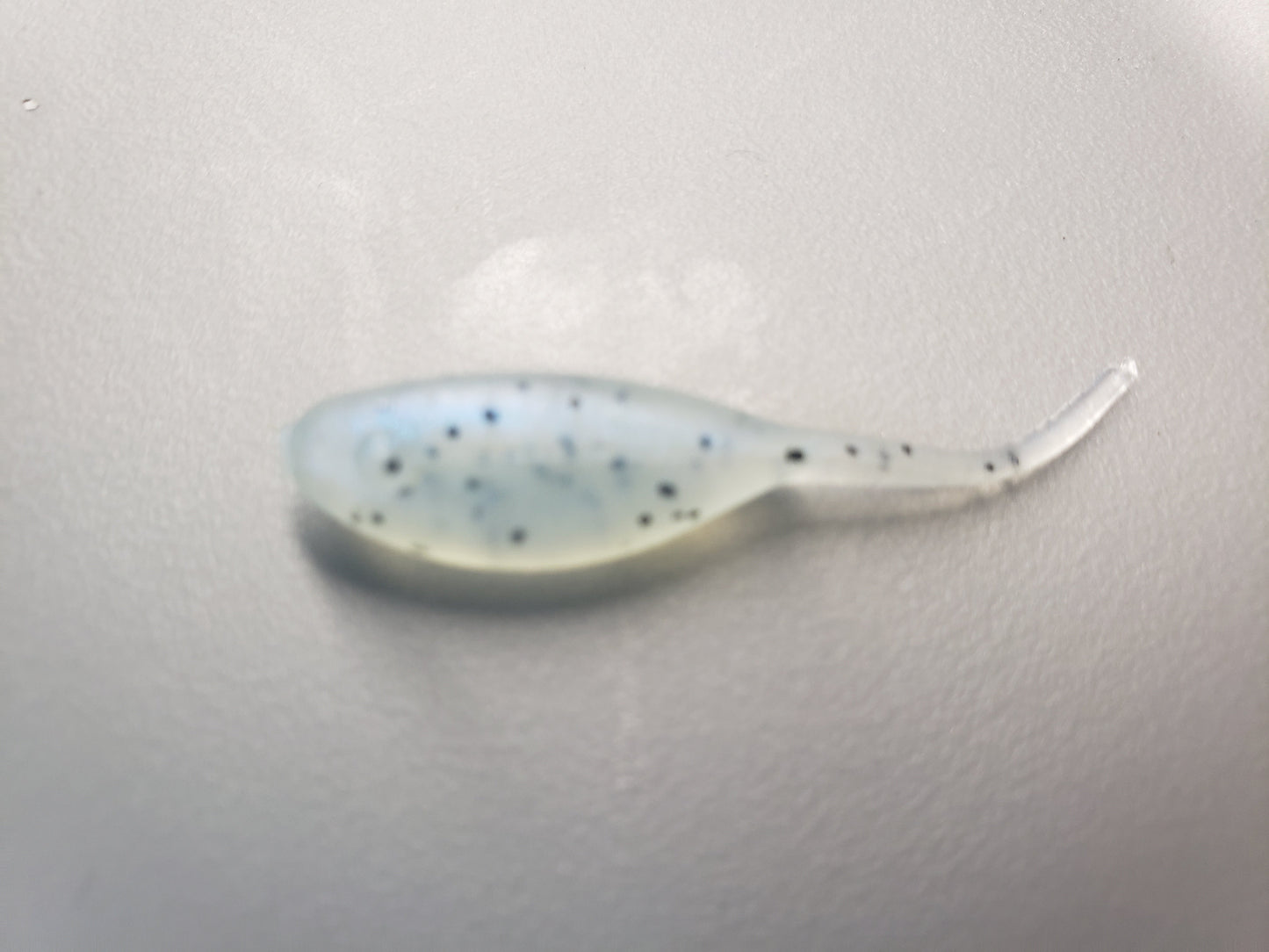 Little Minnow 1.5 Inch