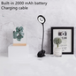 Charging small table lamp