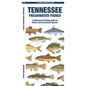 Tennessee Freshwater Fishes - Paperback