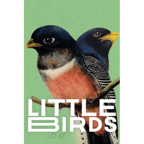 Little Birds (green) - Paperback