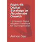 Right-fit Digital Strategy to Accelerate Growth: 11-Elements Digital Adoption Framework for your Organization - Paperback