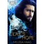 Clay's Hope - Paperback