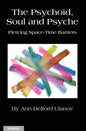 The Psychoid, Soul and Psyche: Piercing Space-Time Barriers - Paperback