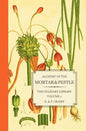 Alchemy of the Mortar & Pestle: The Culinary Library Volume 1 - Paperback