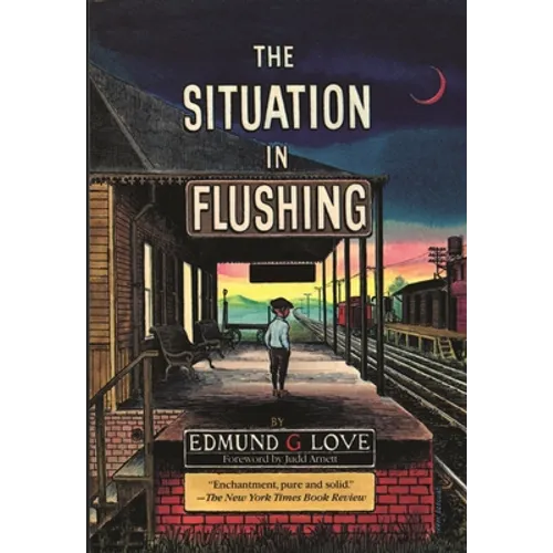 The Situation in Flushing - Paperback