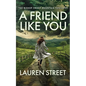 A Friend Like You - Paperback