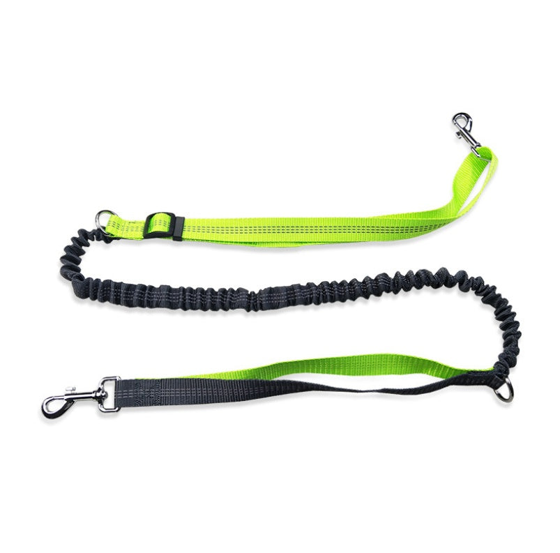 Dog collar without hands