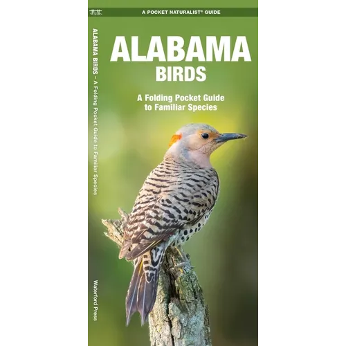 Alabama Birds: An Introduction to Familiar Species - Paperback