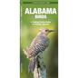 Alabama Birds: An Introduction to Familiar Species - Paperback