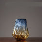 Colorful Gradually Changing Hydroponic Glass Vase Ornaments