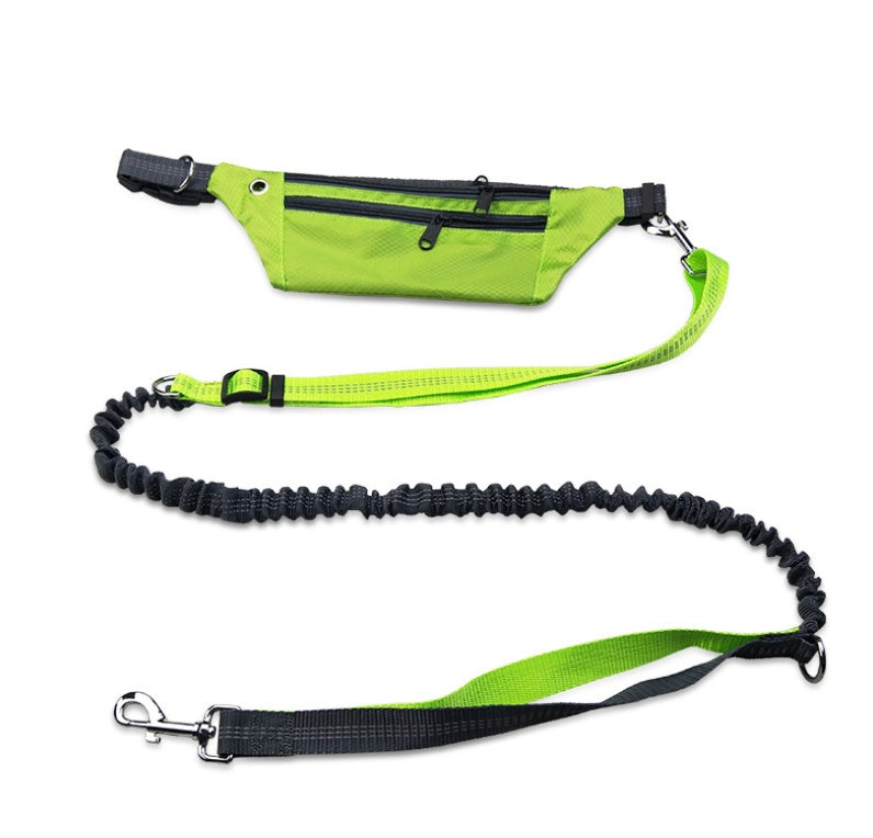 Dog collar without hands