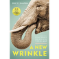 A New Wrinkle: What I Learned from Older People Who Never Acted Their Age - Paperback