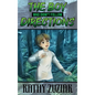 The Boy Who Didn't Follow Directions - Hardcover
