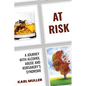 At Risk: A Journey with Alcohol Abuse and Korsakoff's Syndrome - Paperback