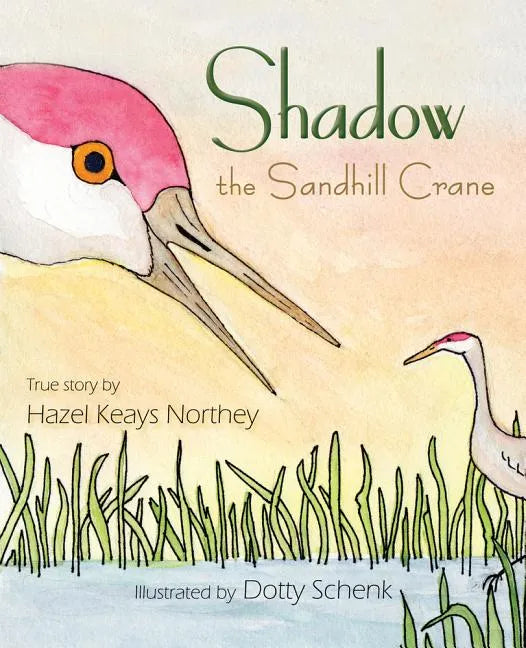 Shadow the Sandhill Crane - Paperback