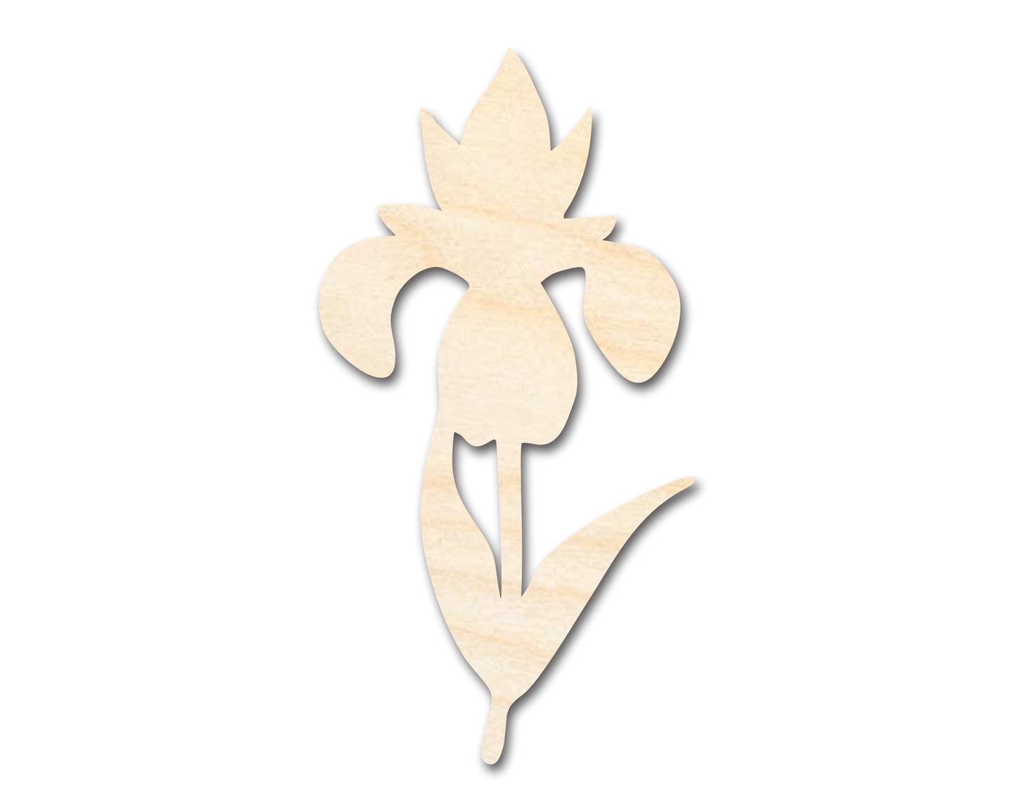 Unfinished Wood Crocus Flower Shape | Spring Craft Cutout | up to 46" DIY