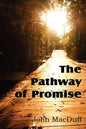 The Pathway of Promise, Words of Comfort to the Christian Pilgrim - Paperback