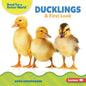 Ducklings: A First Look - Library Binding