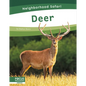 Deer - Library Binding