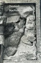 Book of Intrusions - Hardcover