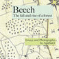 Beech: The Fall and Rise of a Forest - Paperback