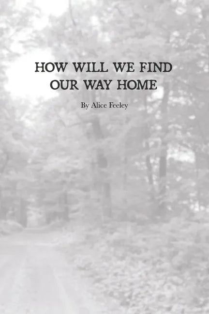 How Will We Find Our Way Home - Paperback