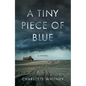 A Tiny Piece of Blue - Paperback