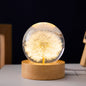 Crystal Ball Eternal Flower Gift Wooden Music Box