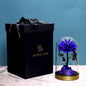 Metal Base Immortal Flower Glass Cover Gift Box