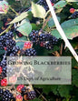 Growing Blackberries - Paperback