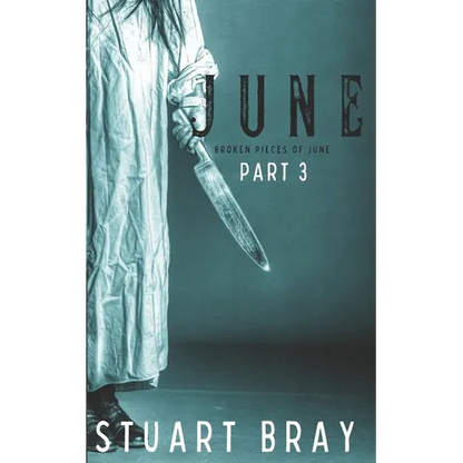 June: Broken pieces of June 3 - Paperback