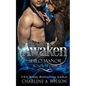 Awaken: Multi-dimensional Soul Mates - Paperback