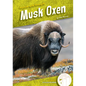 Musk Oxen - Library Binding