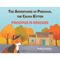 The Adventures of Precious, the Calico Kitten: Precious is Rescued - Paperback