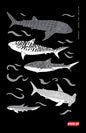 Diving Log Book: Sharks - Paperback