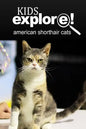 American Shorthair Cat - Kids Explore: Animal books nonfiction - books ages 5-6 - Paperback