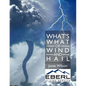 What's What of Wind and Hail - Paperback