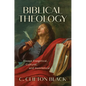 Biblical Theology: Essays Exegetical, Cultural, and Homiletical - Hardcover