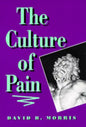 The Culture of Pain - Paperback