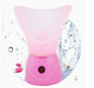 Face steaming machine for sprayer