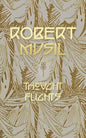 Thought Flights - Paperback